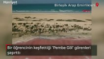 Birleşik Arap Emirlikleri'nde bir öğrencinin keşfettiği 'Pembe Göl' görenleri şaşırttı