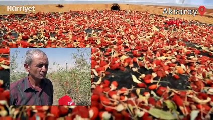 Hobi olarak başladı, şimdi Avrupa'ya ihraç ediyor