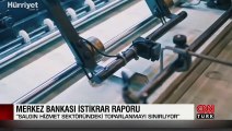 Merkez Bankası istikrar raporu