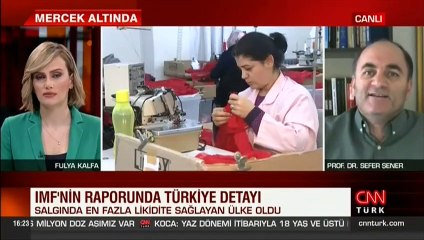 IMF'den Türkiye'ye destek övgüsü