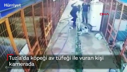 Tuzla'da köpeği av tüfeği ile vuran kişi kamerada
