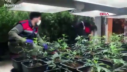 Jandarmanın yüksek teknolojili uyuşturucu serasına baskını kamerada