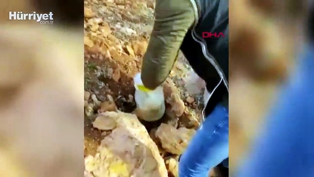 Adana merkezli 7 ilde silah kaçakçılığı operasyonu