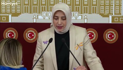 Özlem Zengin, kendisine yapılan saldırılara ilişkin açıklamalarda bulundu