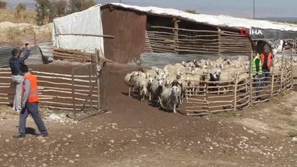 Yayladan dönüşler devam ediyor