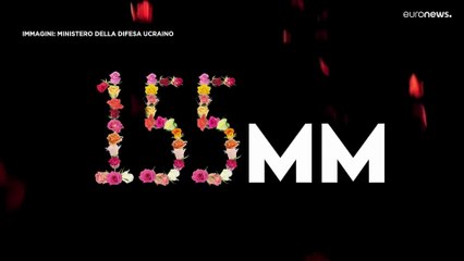 Kiev chiama Parigi: rose, gemiti e sospiri per chiedere i blindati