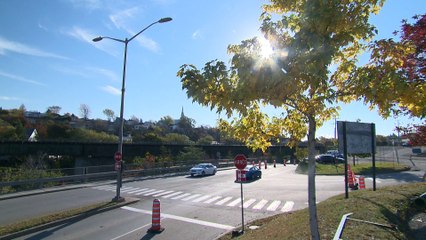 Un feu de circulation à l'intersection Saint-Elzéar/Saint-Magloire