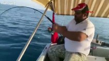 Amatör balıkçı oltasıyla 30 kilo kuzu balığı yakaladı