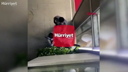 Bağcılar'da güvenlik görevlileri doktoru böyle darbetti