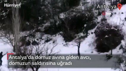 Antalya’da domuz avına giden avcı, domuzun saldırısına uğradı