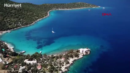 Kaş'ta 'yakıcı denizanası' istilası
