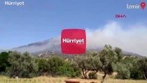 İzmir'in Ödemiş ilçesinde, ormanlık alanda yangın
