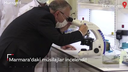 Marmara Denizi'nde görülen müsilaja 'mikroalg' florası tespiti