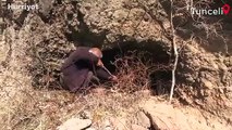 Yukarı Oyumca Köyü'ndeki yaban keçisi ölümlerinin sebebi araştırılıyor
