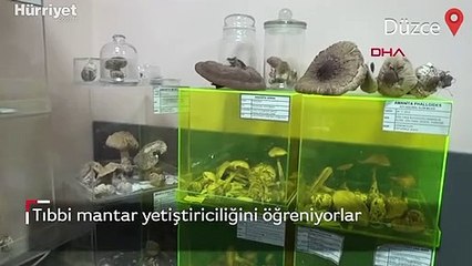 Tıbbi mantar yetiştiriciliğini öğreniyorlar