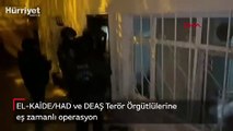 EL-KAİDE/HAD ve DEAŞ Terör Örgütlülerine eş zamanlı operasyon