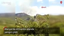Antalya'nın Alanya ilçesinde orman yangını