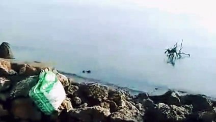 Beautiful river sea in Cebu city philpine