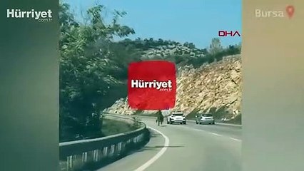 Sahipsiz at kara yolunda dört nala koştu