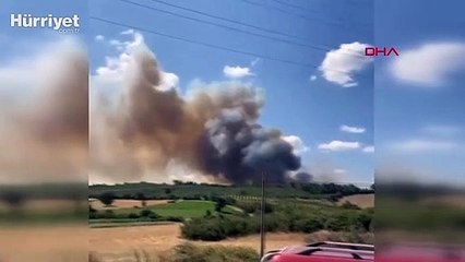 Çanakkale'de orman yangını