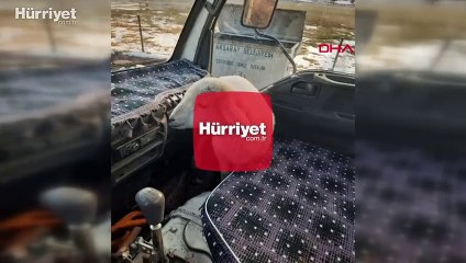 Yolda bulduğu kuzuyu önce aracında ısıttı, ardından sahibine teslim etti