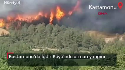 Kastamonu'da İğdir Köyü'nde orman yangını