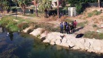 Seyhan Nehri'nde ceset bulundu