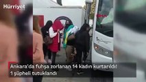 Ankara'da fuhşa zorlanan 14 kadın kurtarıldı