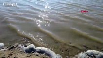 Tuz Gölü'nün su seviyesi yükselmeye başladı