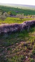 Ait bou Ali tidili massfioua morocco  1