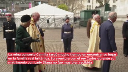 ¿Entendía perfectamente a Diana? Al igual que ella, Camila tuvo dificultades al llegar a la realeza