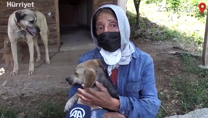 62 yaşında hayatını sokak köpeklerine adadı