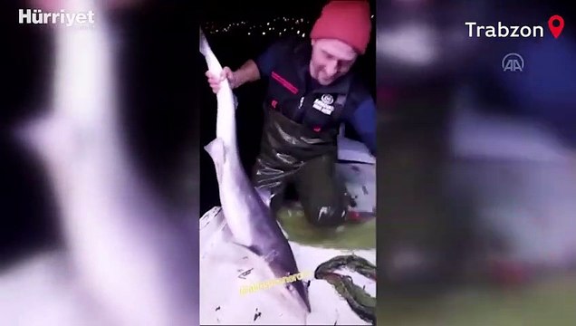 Trabzonlu balıkçının ağına takılan köpek balığına sözleri Karadeniz fıkralarını aratmadı