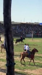 Beni: Una borjana se armó de coraje, montó un toro y salió volando
