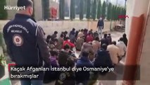 Kaçak Afganları İstanbul diye Osmaniye'ye bırakmışlar