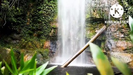 Musik relaksasi Relaxing music #classicmusic