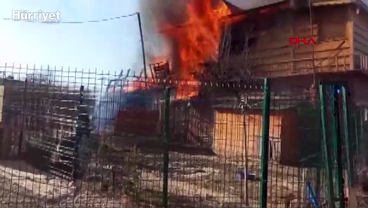 Ankara'da hayvan barınağında yangın 4 köpek yanarak öldü