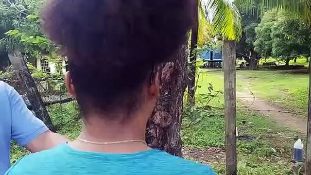 Pobladores de Roatán en zozobra ante banda de asaltantes