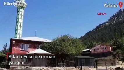 Adana Feke'de orman yangını
