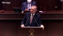 Cumhurbaşkanı Erdoğan, Katarlıların sınavsız üniversiteye girme iddialarına yanıt verdi