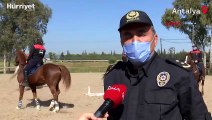 Atlara dumanlı, davullu eğitim