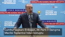 Cumhurbaşkanı Erdoğan, AK Parti İl Danışma  Meclisi Toplantısı'ndan konuştu