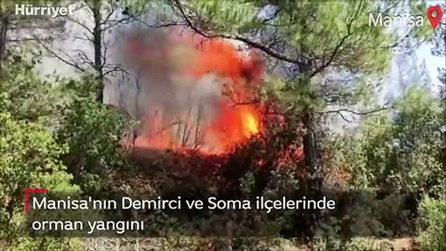 Manisa'nın Demirci ve Soma ilçelerinde orman yangını