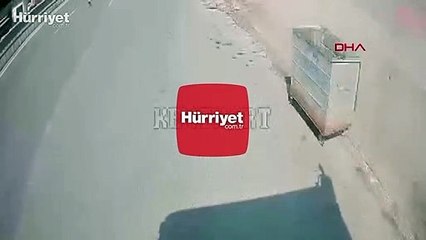 Otobüs şoförü yol ortasında kalan yavru köpeği kurtardı