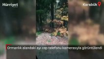 Karabük'te ormanlık alandaki ayı cep telefonu kamerasıyla görüntülendi