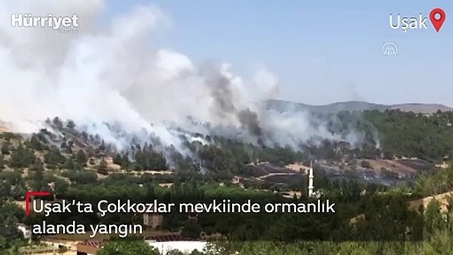 Uşak’ta Çokkozlar mevkiinde ormanlık alanda yangın