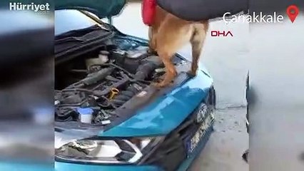Çanakkale'de Otomobildeki 100 gram kokaini narkotik köpeği 'Lina' buldu