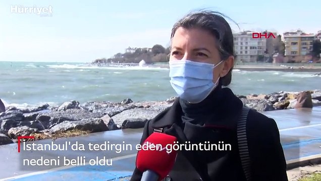 Pendik ve Kartal sahilinde tedirgin eden görüntünün nedeni belli oldu