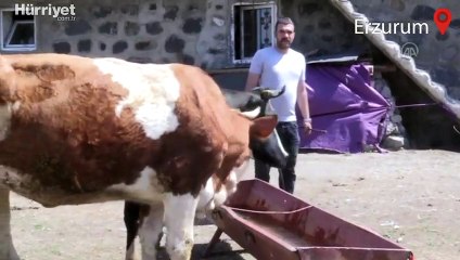 Devlet desteğiyle hayvancılığa başlayan eski hükümlü hayatında yeni sayfa açtı