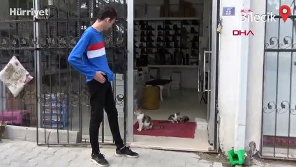 Bilecik'te bir esnaf, beslediği 10 kedinin ezilmesi üzerine yazılı tabela astı